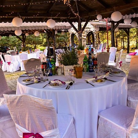Dolina Bobrow Villa Siennica ภายนอก รูปภาพ